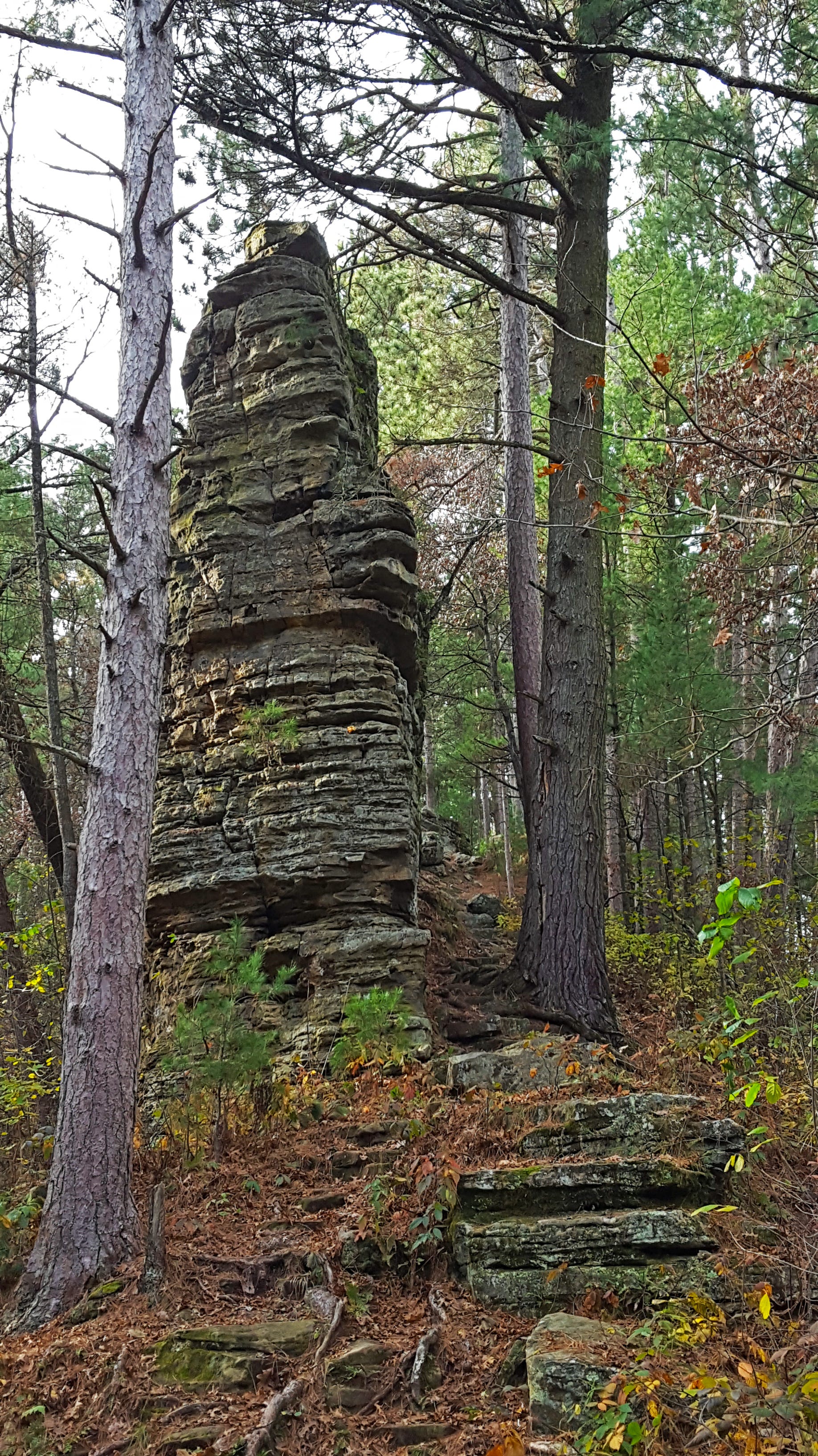 black river state forest backpacking